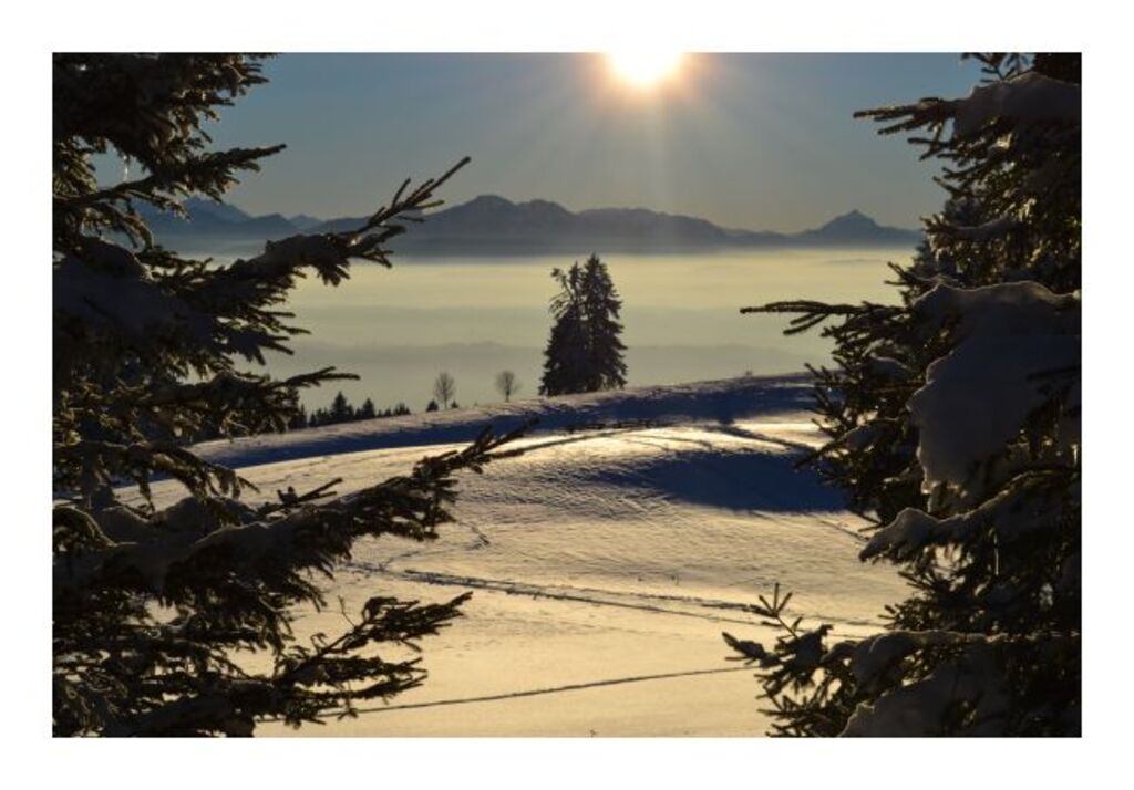 winterkarte-schneeparadies.jpeg